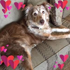 Meet your Posher, Patty